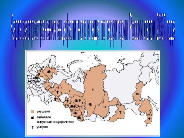 Карта распространения энцефалитного клеща по территории России летом 2007 года