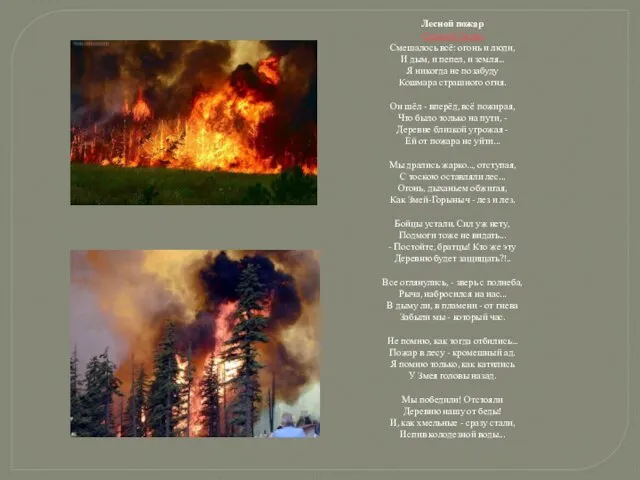 Лесной пожар Сергей Газин Смешалось всё: огонь и люди, И дым, и