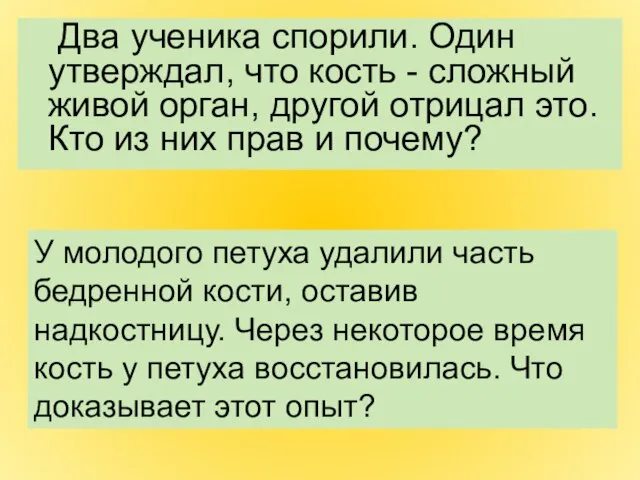 Два ученика спорили. Один утверждал, что кость - сложный живой орган, другой