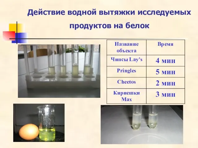 Действие водной вытяжки исследуемых продуктов на белок