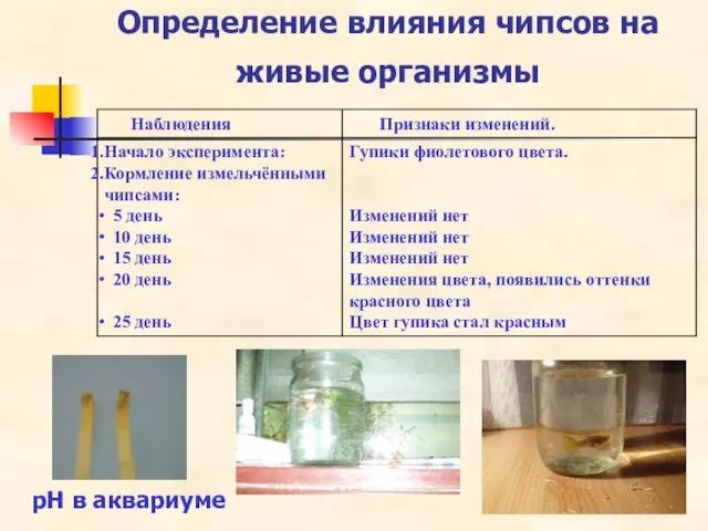 Определение влияния чипсов на живые организмы рН в аквариуме