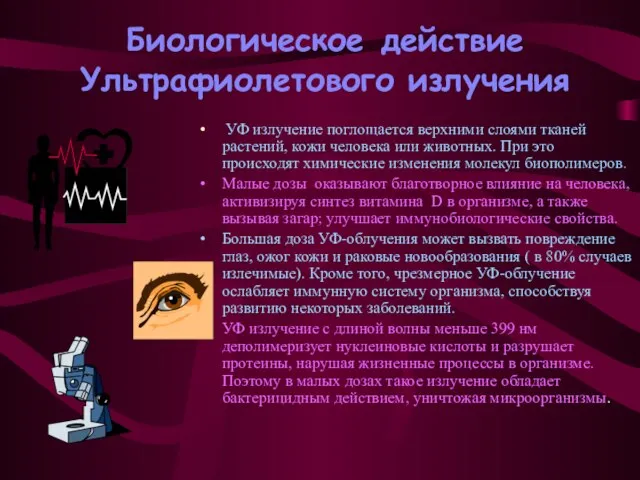 Биологическое действие Ультрафиолетового излучения УФ излучение поглощается верхними слоями тканей растений, кожи