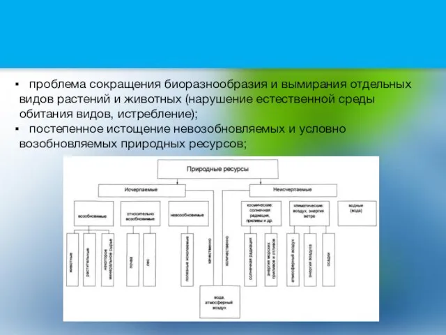 проблема сокращения биоразнообразия и вымирания отдельных видов растений и животных (нарушение естественной