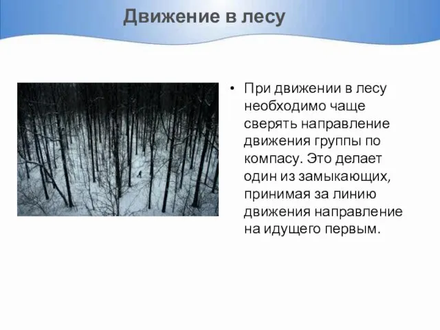 Движение в лесу При движении в лесу необходимо чаще сверять направление движения