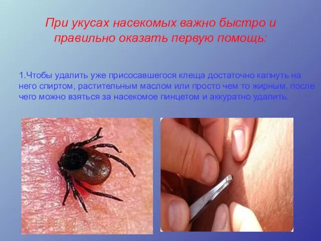 При укусах насекомых важно быстро и правильно оказать первую помощь: 1.Чтобы удалить