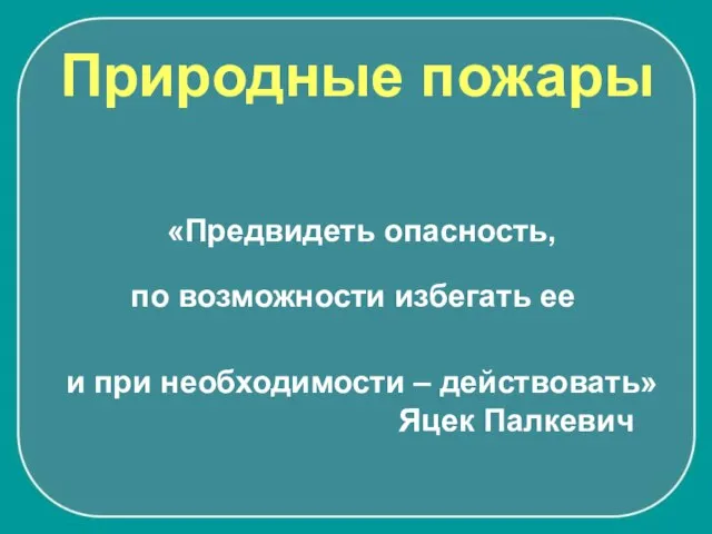 «Предвидеть опасность, и при необходимости – действовать» Яцек Палкевич Природные пожары по возможности избегать ее