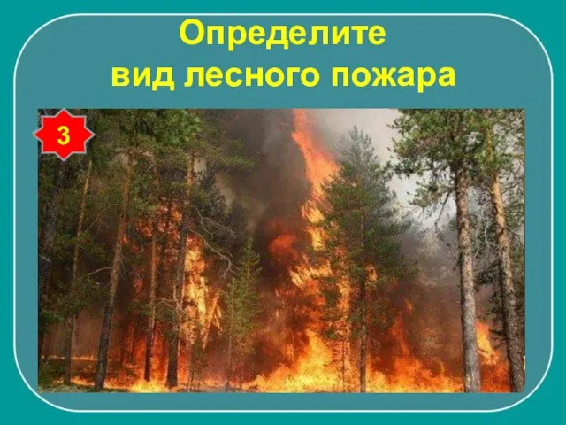 Определите вид лесного пожара 1 2 3