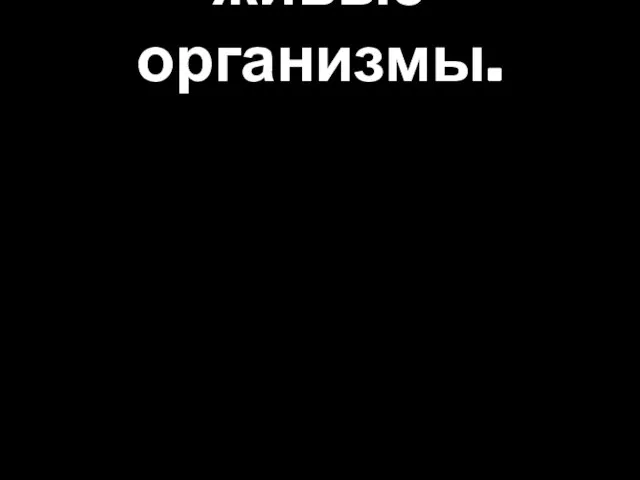 Влияние радиации на живые организмы.