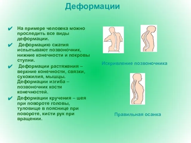 Деформации На примере человека можно проследить все виды деформации. Деформацию сжатия испытывают