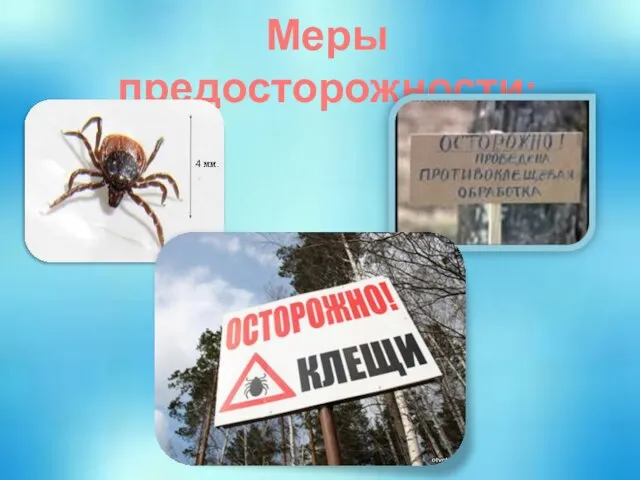 Меры предосторожности: