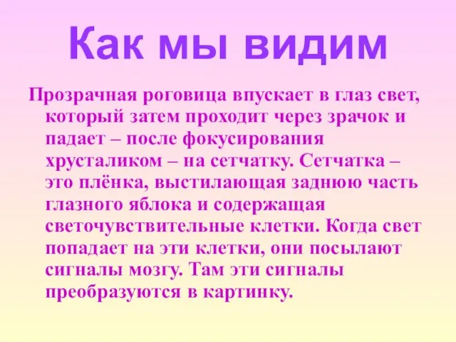 Как мы видим Прозрачная роговица впускает в глаз свет, который затем проходит