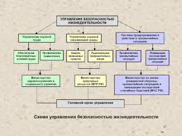 Схема управления безопасностью жизнедеятельности