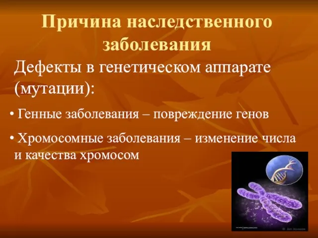 Причина наследственного заболевания Дефекты в генетическом аппарате (мутации): Генные заболевания – повреждение