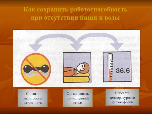 Как сохранить работоспособность при отсутствии пищи и воды Снизить физическую активность Организовать