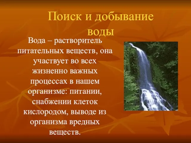 Поиск и добывание воды Вода – растворитель питательных веществ, она участвует во