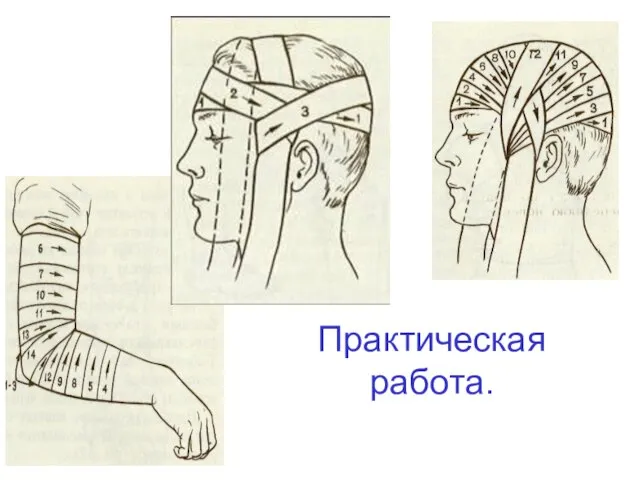 Практическая работа.