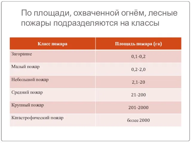 По площади, охваченной огнём, лесные пожары подразделяются на классы