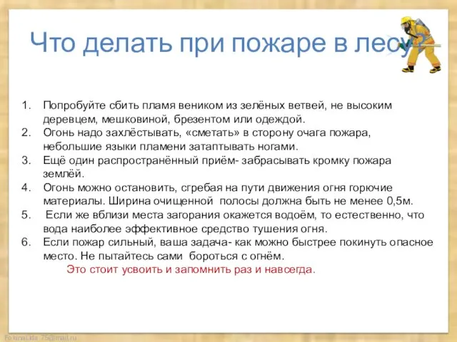 Что делать при пожаре в лесу? Попробуйте сбить пламя веником из зелёных