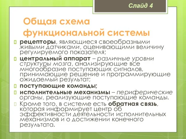 Общая схема функциональной системы рецепторы, являющиеся своеобразными живыми датчиками, оценивающими величину регулируемого