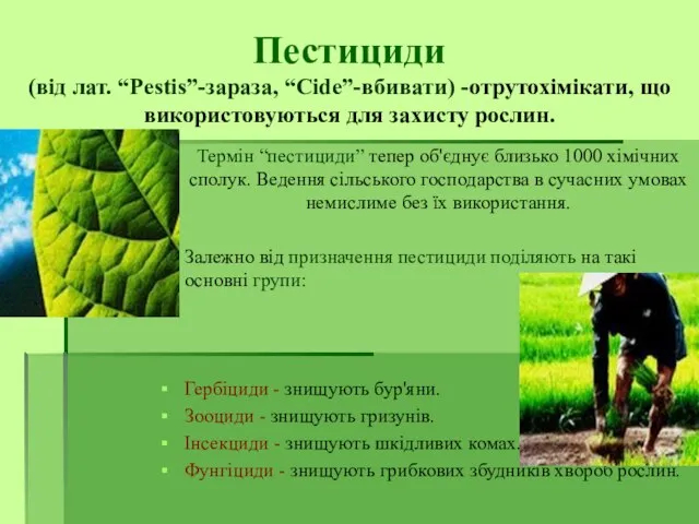 Пестициди (від лат. “Pestis”-зараза, “Cide”-вбивати) -отрутохімікати, що використовуються для захисту рослин. Термін