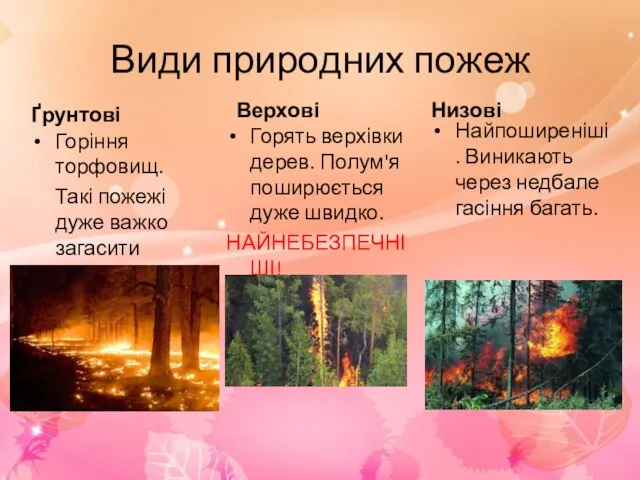 Види природних пожеж Ґрунтові Горіння торфовищ. Такі пожежі дуже важко загасити Низові