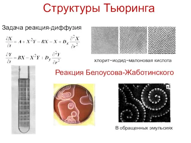 Структуры Тьюринга хлорит−иодид−малоновая кислота Реакция Белоусова-Жаботинского В обращенных эмульсиях Задача реакция-диффузия