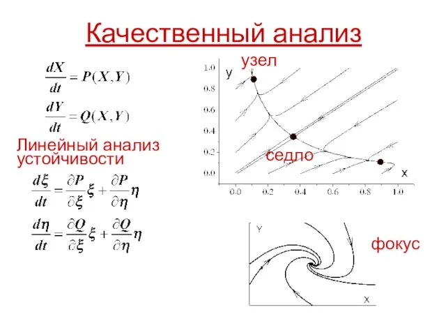 Качественный анализ Линейный анализ устойчивости узел фокус седло