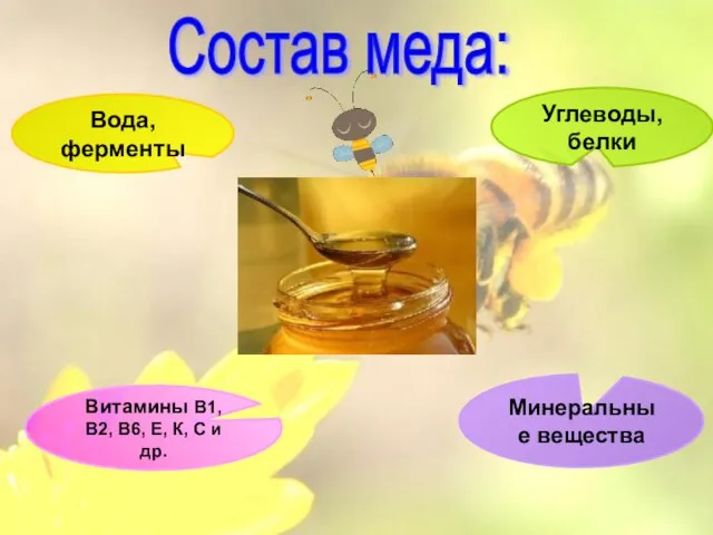 Состав меда: Витамины В1, В2, В6, Е, К, С и др. Углеводы,