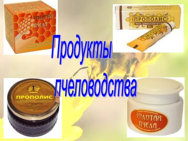 Продукты пчеловодства