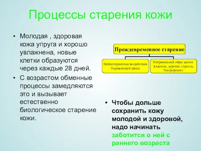 Процессы старения кожи Молодая , здоровая кожа упруга и хорошо увлажнена, новые