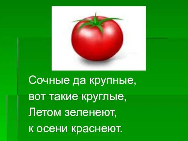 Сочные да крупные, вот такие круглые, Летом зеленеют, к осени краснеют.