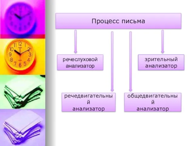 Процесс письма речедвигательный анализатор зрительный анализатор общедвигательный анализатор речеслуховой анализатор