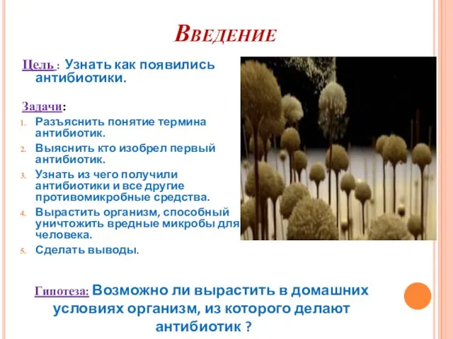 Введение Цель : Узнать как появились антибиотики. Задачи: Разъяснить понятие термина антибиотик.