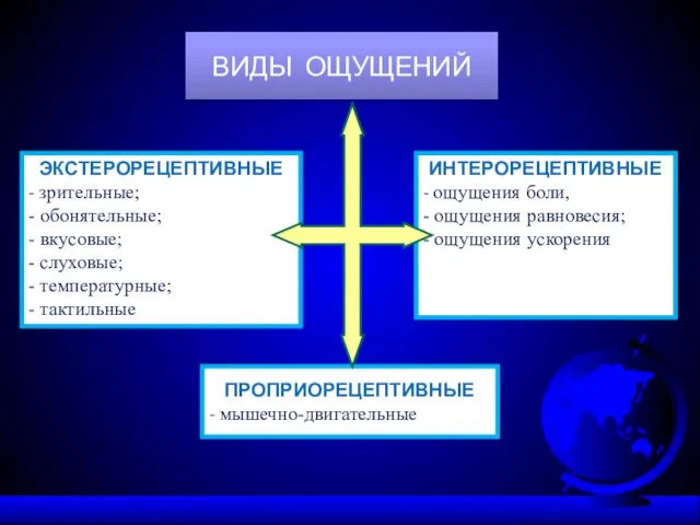 ВИДЫ ОЩУЩЕНИЙ ЭКСТЕРОРЕЦЕПТИВНЫЕ - зрительные; - обонятельные; - вкусовые; - слуховые; -