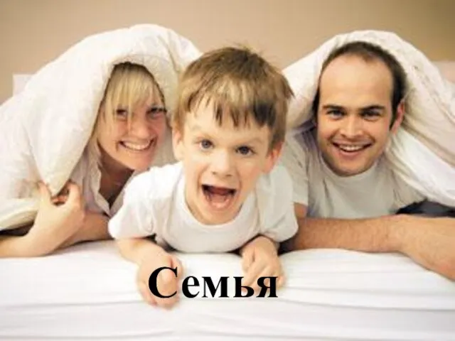 Семья