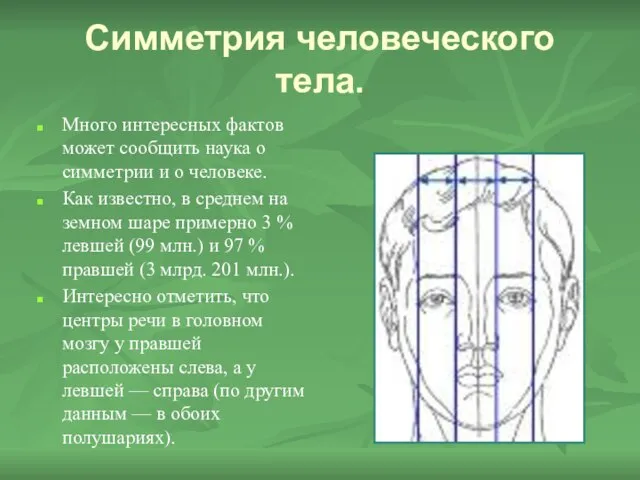 Симметрия человеческого тела. Много интересных фактов может сообщить наука о симметрии и