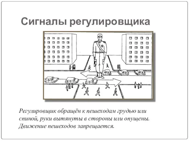 Сигналы регулировщика Регулировщик обращён к пешеходам грудью или спиной, руки вытянуты в