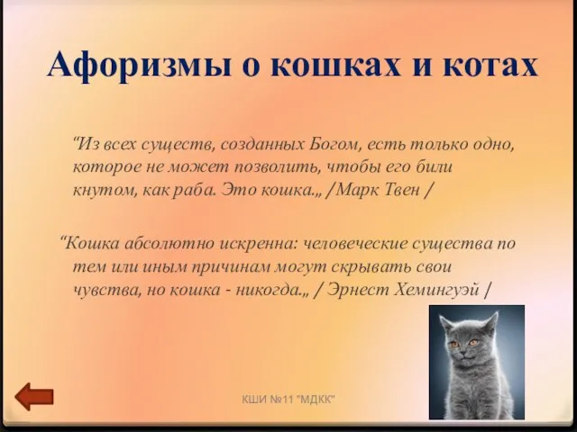 Афоризмы о кошках и котах “Из всех существ, созданных Богом, есть только