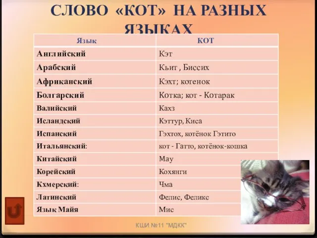 СЛОВО «КОТ» НА РАЗНЫХ ЯЗЫКАХ КШИ №11 "МДКК"