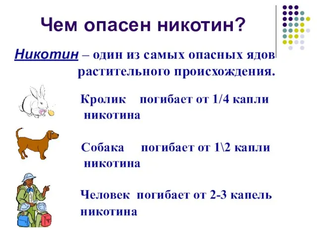 Чем опасен никотин? Никотин – один из самых опасных ядов растительного происхождения.