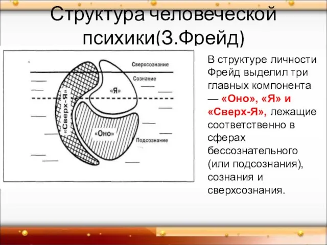 Структура человеческой психики(З.Фрейд) В структуре личности Фрейд выделил три главных компонента —