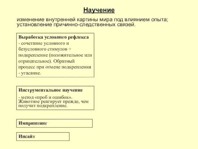 Научение изменение внутренней картины мира под влиянием опыта; установление причинно-следственных связей. Выработка