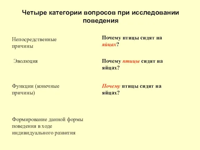 Четыре категории вопросов при исследовании поведения Непосредственные причины Почему птицы сидят на