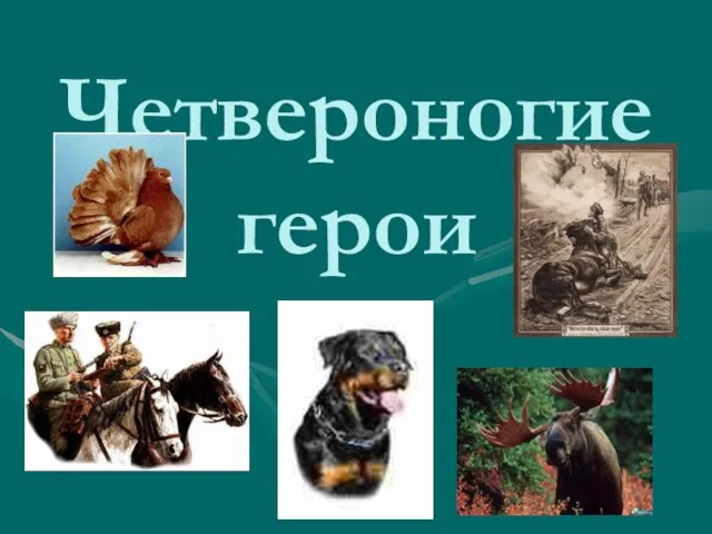 Четвероногие герои