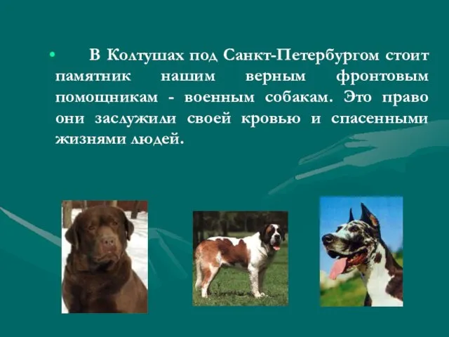 В Колтушах под Санкт-Петербургом стоит памятник нашим верным фронтовым помощникам - военным