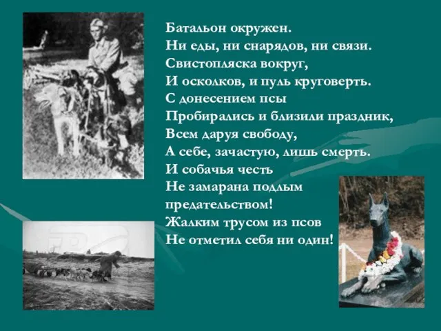 Батальон окружен. Ни еды, ни снарядов, ни связи. Свистопляска вокруг, И осколков,