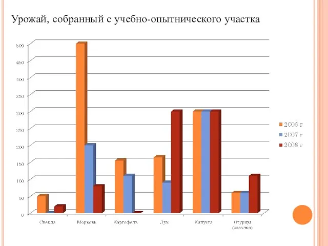 Урожай, собранный с учебно-опытнического участка