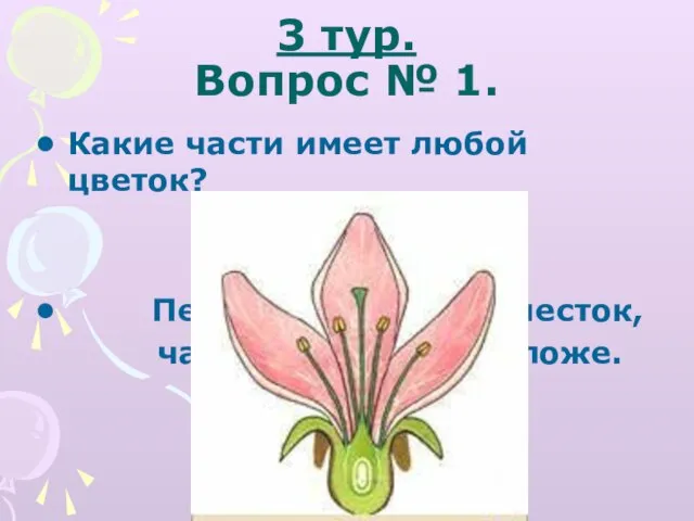 3 тур. Вопрос № 1. Какие части имеет любой цветок? Пестик, тычинка, лепесток, чашелистики, цветоложе.