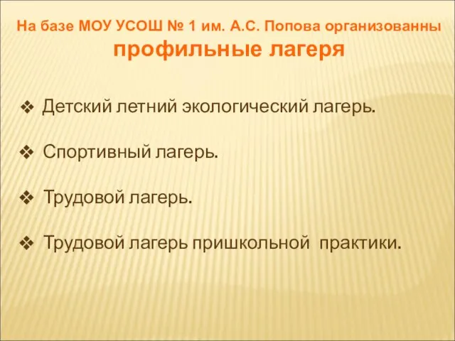 На базе МОУ УСОШ № 1 им. А.С. Попова организованны профильные лагеря