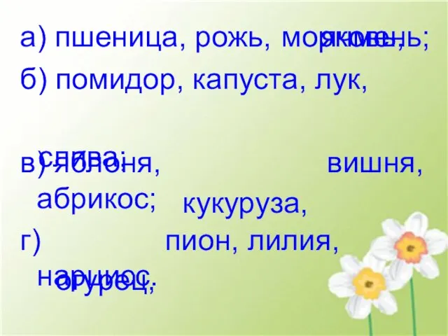 а) пшеница, рожь, ячмень; б) помидор, капуста, лук, в) яблоня, вишня, абрикос;